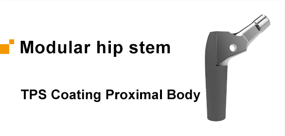 Pressfit Proximal Body