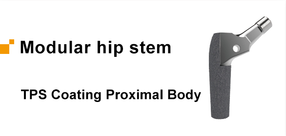 TPS Coating Proximal Body